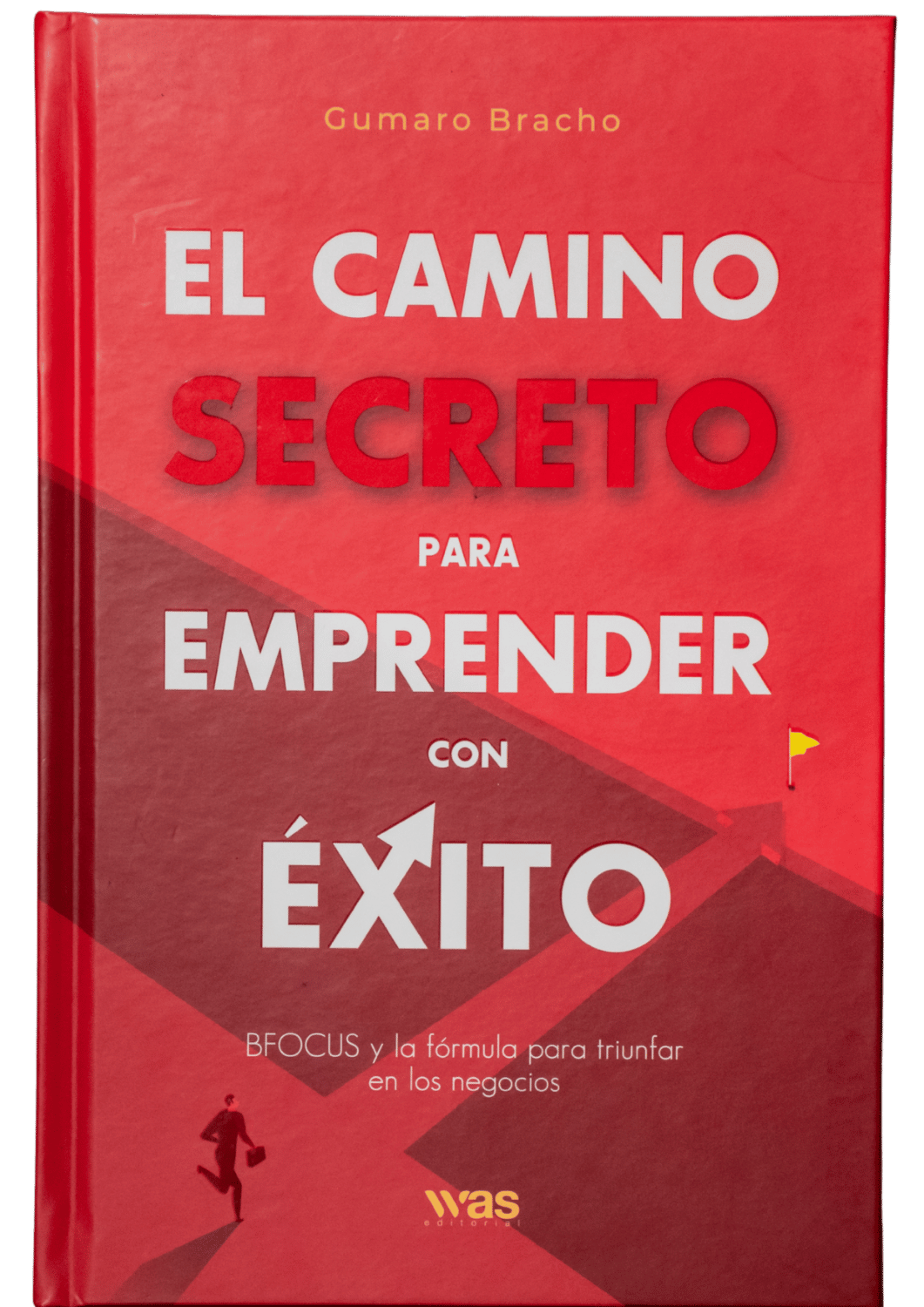 El camino secreto para emprender con éxito de Gumaro Bracho